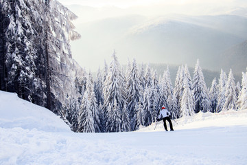 winter landscape in the mountains