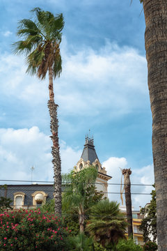 Beautiful palm tree in front of a building in the village San Remo