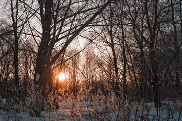 Fototapeta premium Winter sunset