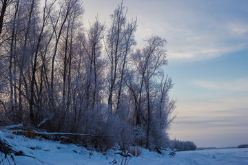 Fototapeta na wymiar winter landscape with trees and river