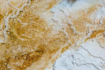 Travertine depositions of Minerva Terrace hot springs in Yellowstone National park, USA
