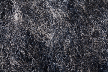 Burnt grass