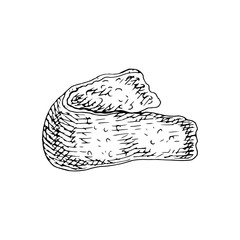 Citrus fruit orange, lime, lemon, mandarin, bergamot peel, slices, half, cut isolated on white background. Hand drawn food illustration. Sketch vintage objects for label, icon, packaging.