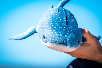whale shark toy