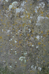 Gravestone texture