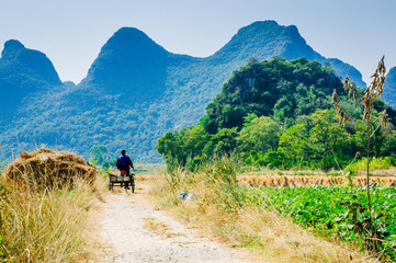 countryside scenery 