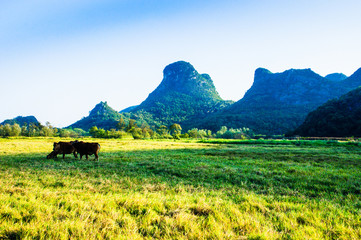 Obraz premium landscape with mountains