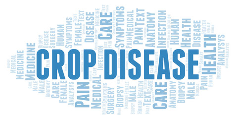 Crop Disease word cloud.