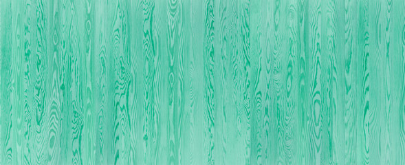 Fototapeta na wymiar Green Pine Timber Wood Banner Background, Wood Texture, Backdrop