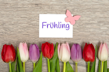 Tulpen und Karte: Frühling