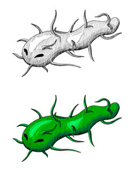 microbe hand drawn ink vintage doodle illustration