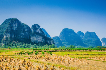 Rice fields and mountain scenery in fall 