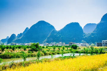 Fototapeta na wymiar Rice fields and mountain scenery in fall 