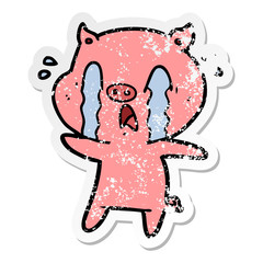 distressed sticker of a crying pig cartoon