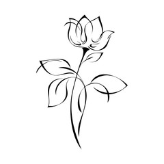 flower Bud on stem with leaves in black lines on white background