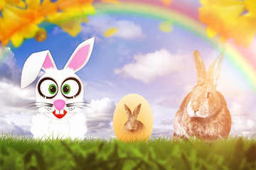 Frohe Ostern Grusskarte. Osterhase auf einer grünen Wiese.