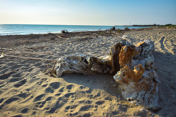 San Benedetto del Tronto. The Adriatic coast in the Park Santina