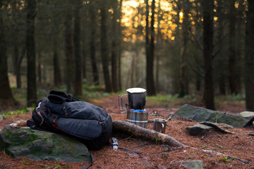 Camping Cooking in Forest