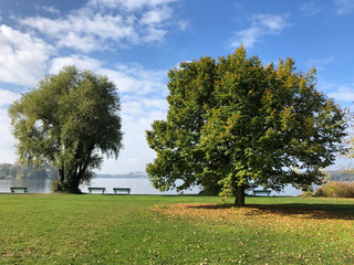 Frauenchiemsee
