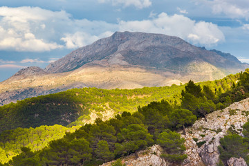 Fototapeta na wymiar Landscape of the Sierra de las Nieves Natural Park in Malaga, Spain