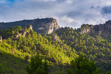 Fototapeta na wymiar Landscape of the Sierra de las Nieves Natural Park in Malaga, Spain