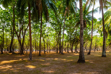 Sukhothai historical park and surrounding area example Wat Si Chum, Wat Traphang-Thong, Sorasak Temple in the midday and twilight