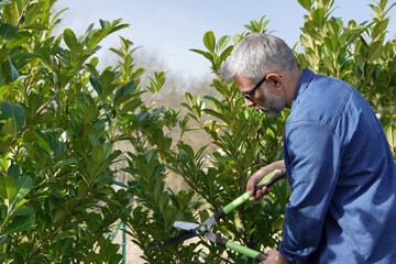 Man trimming hedge with gardening sheers