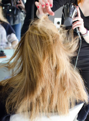 Fototapeta premium Secando el pelo