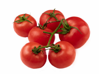 tomatoes isolated on white background