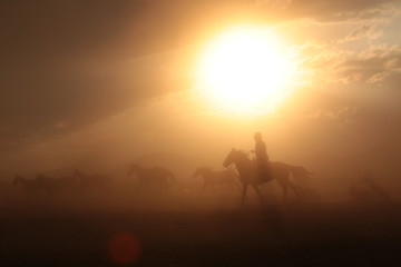 Obraz na płótnie Canvas wild horses and cowboys.kayseri turkey