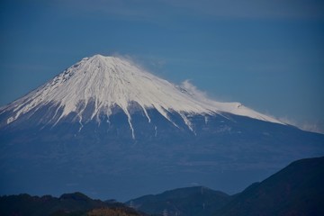 初春～Early spring.