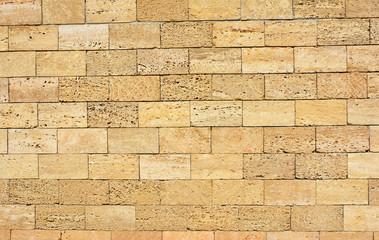Shell limestone wall texture background.