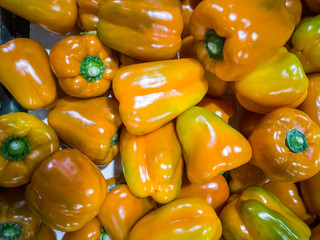 Pile of sweet peppers with different colors and strains on Mediterranean markets