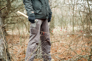 man looking for a firewoods in the autumn forest with an axe