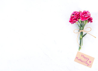 May mothers day idea concept photography - Beautiful blooming carnations tied by bow with kraft text card isolated on bright modern table, copy space, flat lay, top view, mock up