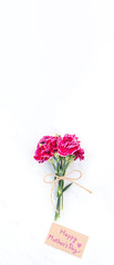 May mothers day idea concept photography - Beautiful blooming carnations tied by bow with kraft text card isolated on bright modern table, copy space, flat lay, top view, mock up