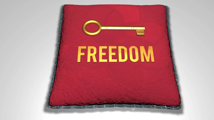 freedom concept