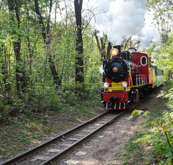 Steam locomotive going through the park