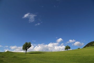 spring landscape photos.savsat/artvin/turkey