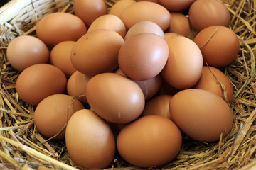 Closeup organic eggs in basket fresh from hen in a chickens farm.