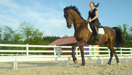 LOW ANGLE: Active girl trotting on her horse around the sandy arena on sunny day - obrazy, fototapety, plakaty