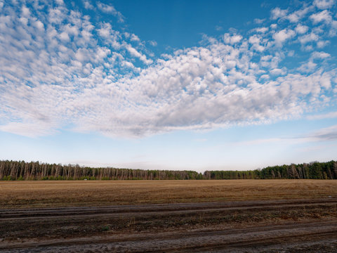 the beginning of spring. clouds are floating over the field.