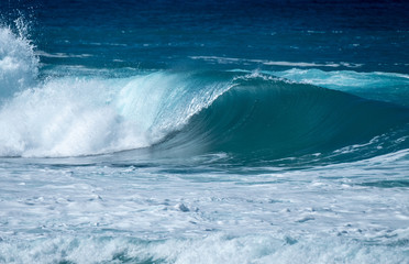 Perfectly shaped surfing wave
