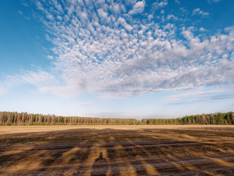 the beginning of spring. clouds are floating over the field.