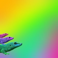 Contemporary art college,multicolor exotic animals lizards.  Cold blooded on a colored background