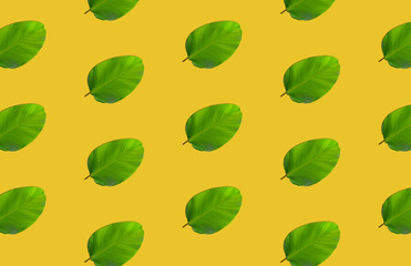 pattern of green leaves over yellow background