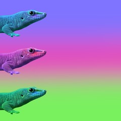 Contemporary art college,multicolor exotic animals lizards.  Cold blooded on a colored background