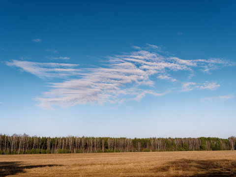 the beginning of spring. clouds are floating over the field.