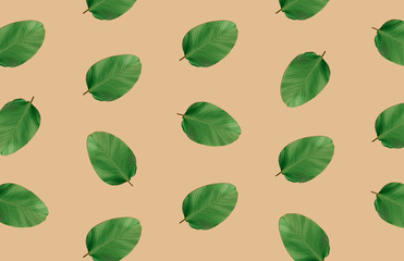 tropical green leaf pattern on yellow background