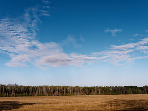 the beginning of spring. clouds are floating over the field.